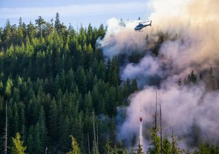 Incêndios não dão tréguas na América do Norte