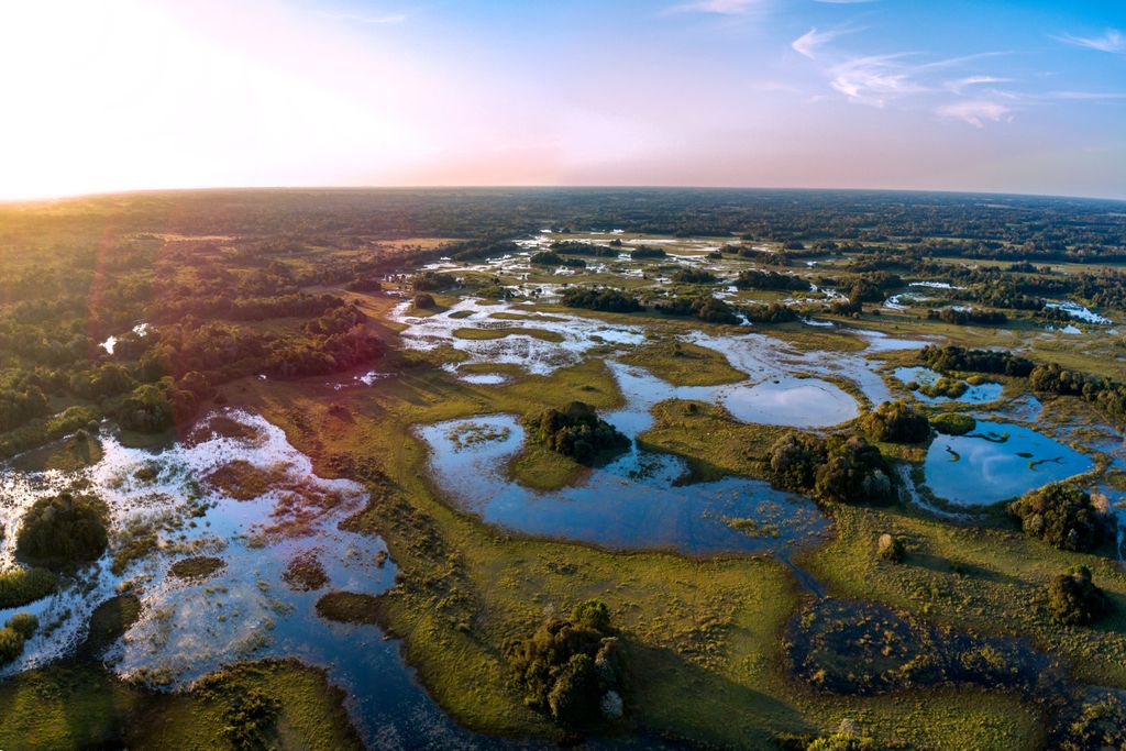 Pantanal, Brasil, São Paulo