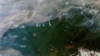 Incendios siberianos sin precedentes