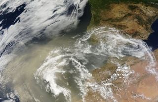 Incidencia del polvo sahariano en las microalgas