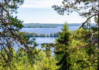 Incredibile scoperta in Finlandia, una necropoli preistorica sotto il Circolo Polare Artico