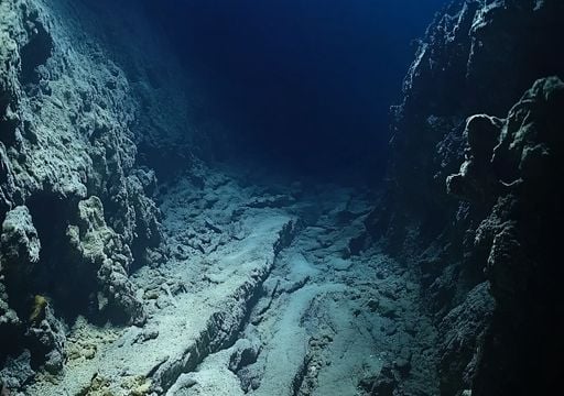 Increíble hallazgo: la vida prospera en lo más profundo de la Fosa de las  Marianas