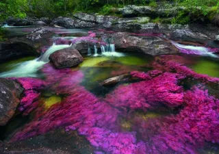 Images spectaculaires : une rivière multicolore en Colombie ! 