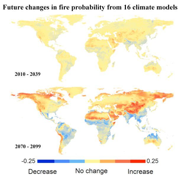 Incrementos De Los Fuegos Forestales Debido Al Cambio Climático