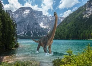 ¡Increíble! Descubre un esqueleto de dinosaurio gigante en su propio jardín