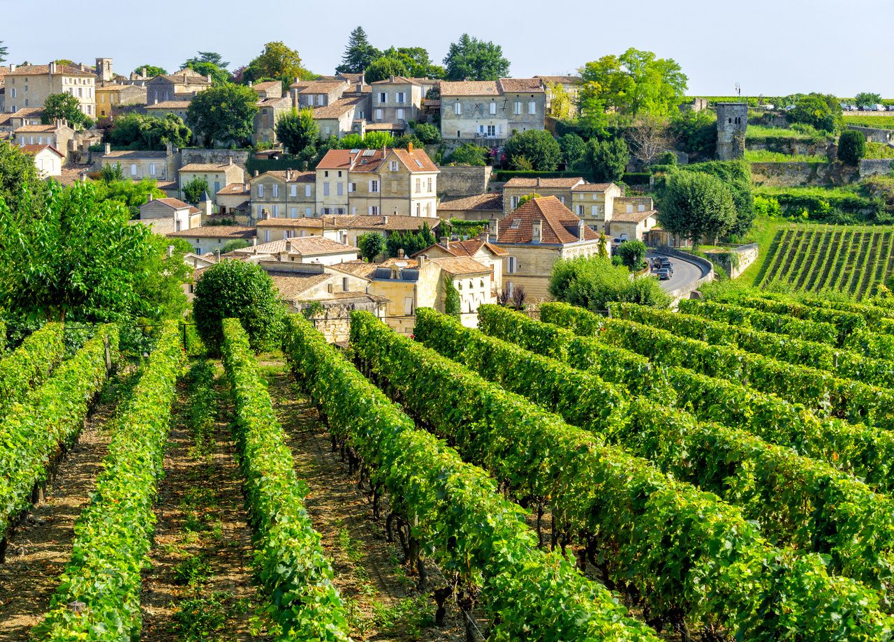 Un des vignobles du domaine du Météore, dans le sud de la France, serait situé dans un impact de météorite selon un scientifique allemand.