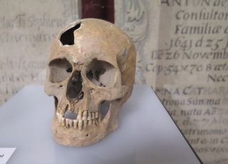Incroyable ! Un os de bébé humain découvert dans une grotte en France !