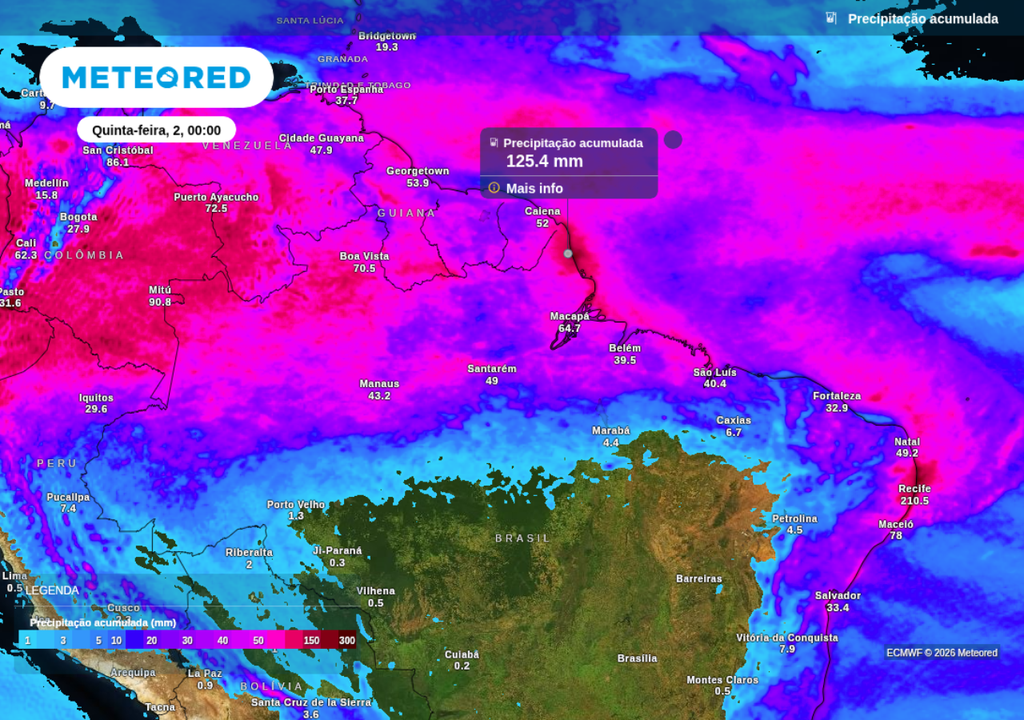 Previsão de chuva acumulada até o final de quarta-feira (1), segundo o ECMWF.