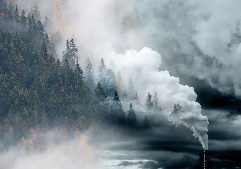 OMM: Indicadores climáticos críticos bateram recordes em 2021 OMM: Indicadores climáticos críticos bateram recordes em 2021