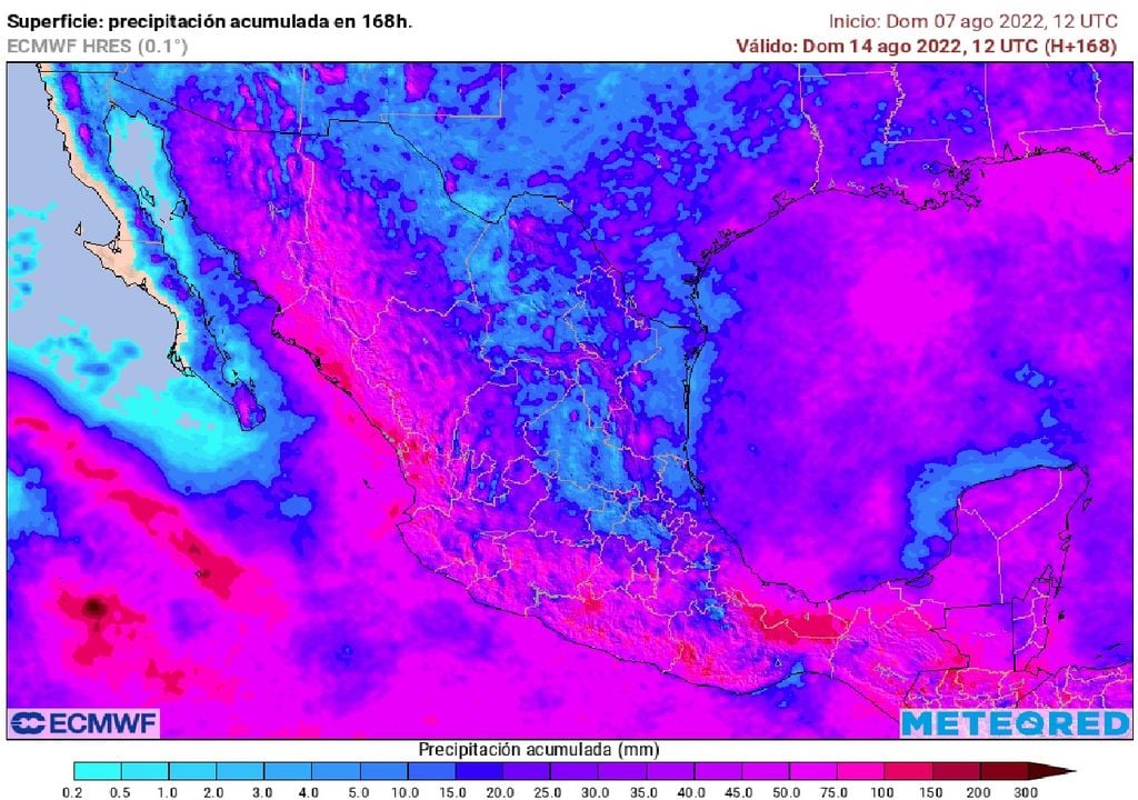 Modelo ECMWF - Acumulado de precipitaciones 7 al 13 de agosto