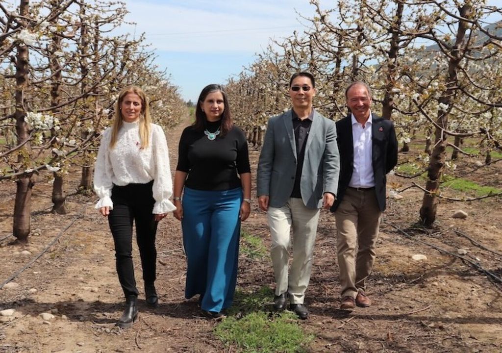 Cerezas 2024-2025 Cerezas 2024-2025