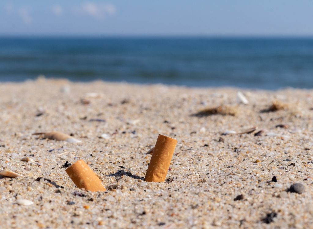 cigarettes in the sand environmental pollution
