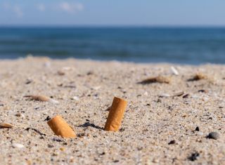 Industrie du tabac : des effets catastrophiques sur l'environnement