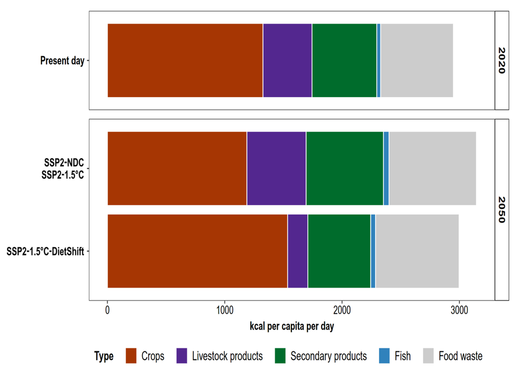 Un aperçu des hypothèses de scénario concernant ce que nous mangeons, combien nous mangeons et ce que nous gaspillons. Les données présentées sont à l'échelle mondiale pour 2020 et 2050. Dans les scénarios SSP2-NDC et SSP2-1.5°C, notre alimentation reste comme elle est actuellement, tandis que dans SSP2-1.5°C-DietShift, elle évolue vers un régime alimentaire plus sain pour nous et pour la planète. En même temps, on cherche à réduire le gaspillage alimentaire. Cela signifie que les choix que nous faisons à propos de notre nourriture et la façon dont nous la gérons peuvent vraiment faire une différence.