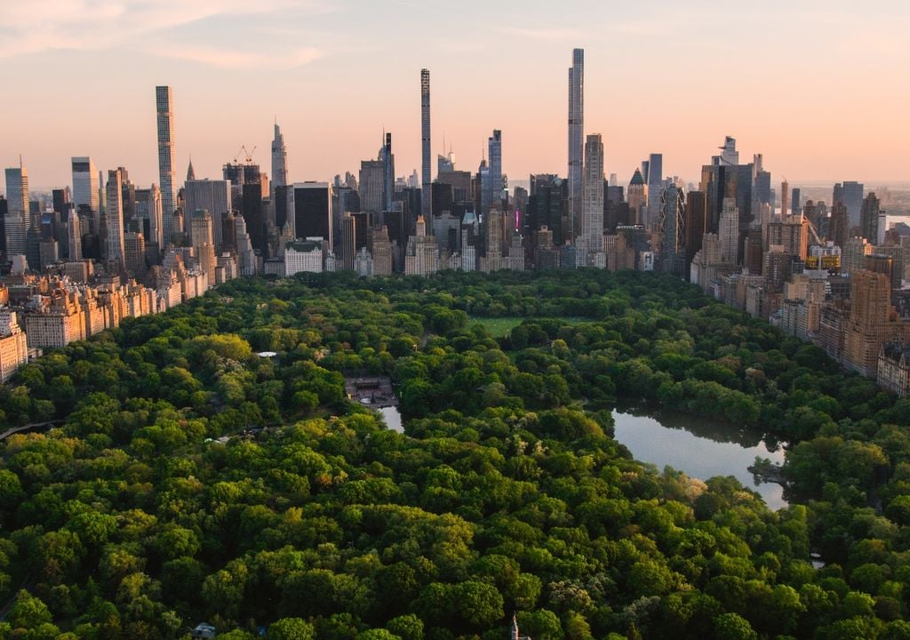 New York prévoit d'augmenter sa couverture arborée de 22 % à 30 %.