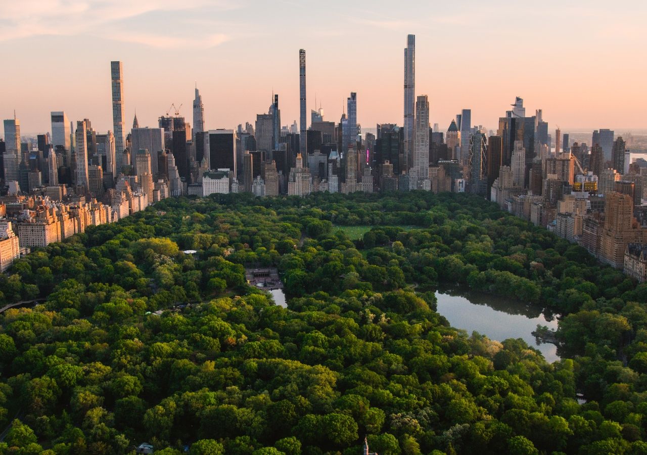 New York plant, seinen Baumbestand von 22 auf 30 Prozent zu erhöhen.