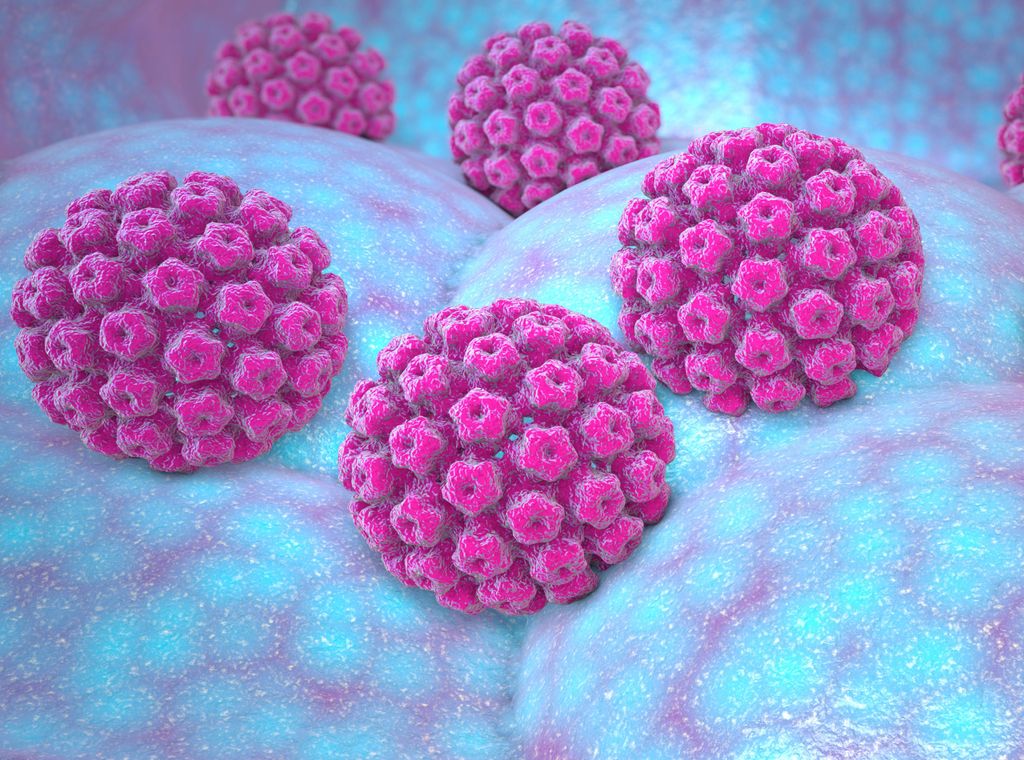 doença HPV