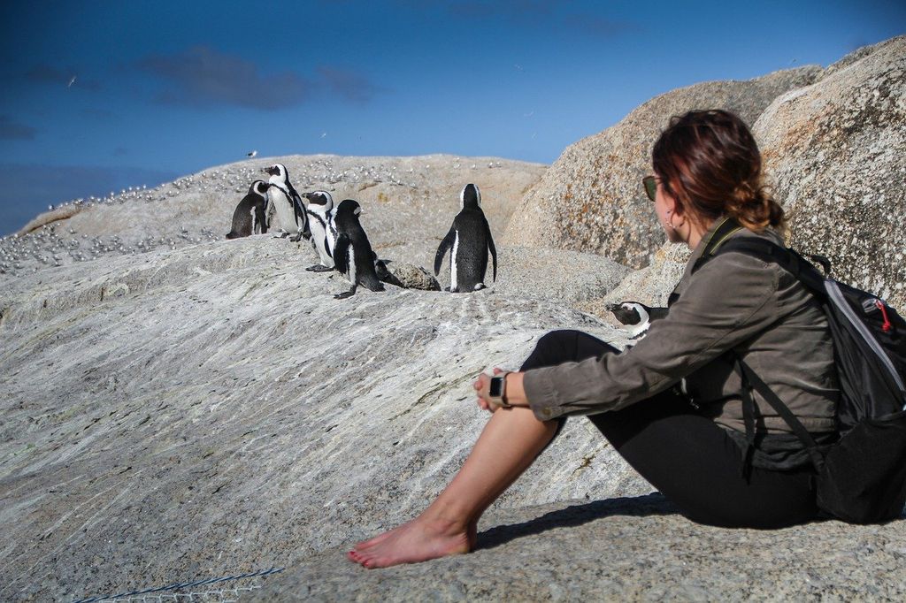 Mujer sentada contemplando familia de pingüinos
