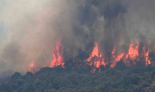 Información los incendios en España en lo que va de 2019