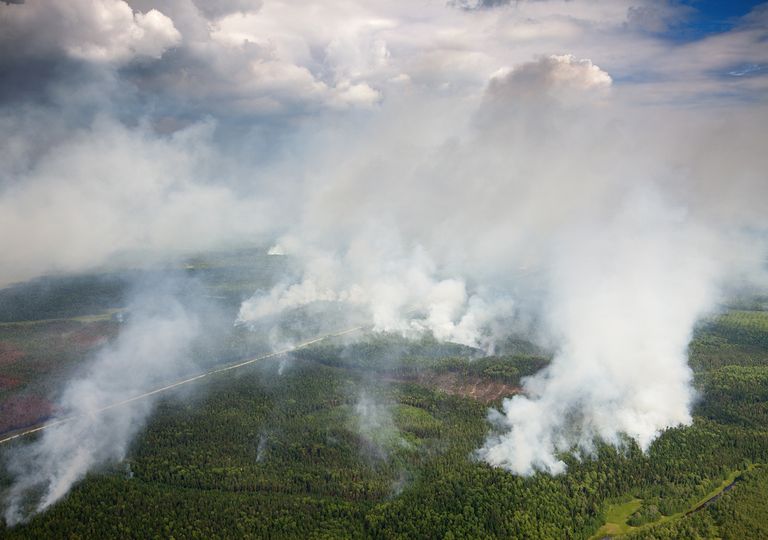 Incendios en Siberia Incendios en Siberia