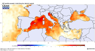 Informe de la temperatura superficial del mar Mediterráneo
