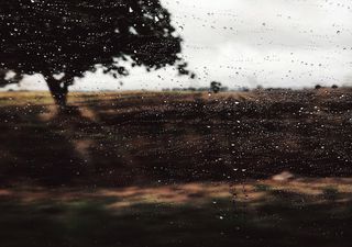 Con el ingreso de aire frío finalmente llega el otoño a Argentina