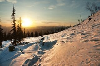 Inicia el Solsticio de diciembre y con él, la noche más larga del año en el hemisferio norte