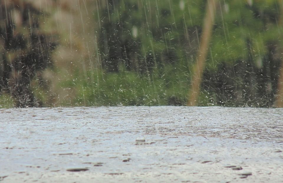 Lluvia Lluvia