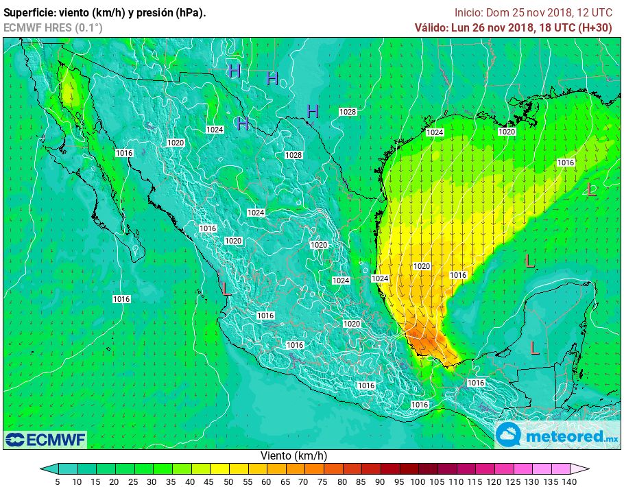 ECMWF