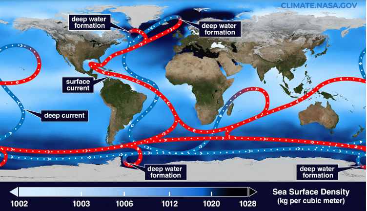 Ilustración simplificada de la “cinta transportadora” global de corrientes oceánicas que transportan calor alrededor de la Tierra. El rojo muestra corrientes superficiales y el azul muestra corrientes profundas. Las aguas profundas se forman donde la superficie del mar es más densa. El color de fondo muestra la densidad de la superficie del mar. Crédito: Estudio de visualización científica de la NASA/Goddard Space Flight Center (fondo)