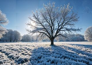 Inminente llegada de intenso frío: nuestros mapas muestran una masa ártica recorriendo México y afectando estos estados