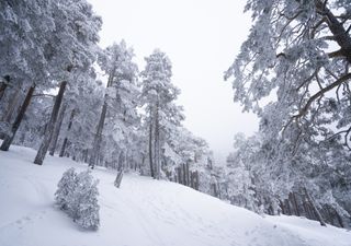 Arranca el primer gran temporal invernal... ¿con nieve en Madrid?