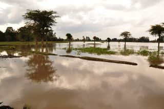 Inondations dans le sud : nouvelle journée à risques vendredi