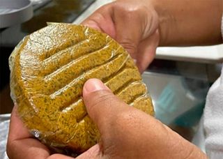 Inovação no Maranhão: pesquisadores criam hambúrguer feito de coco de babaçu