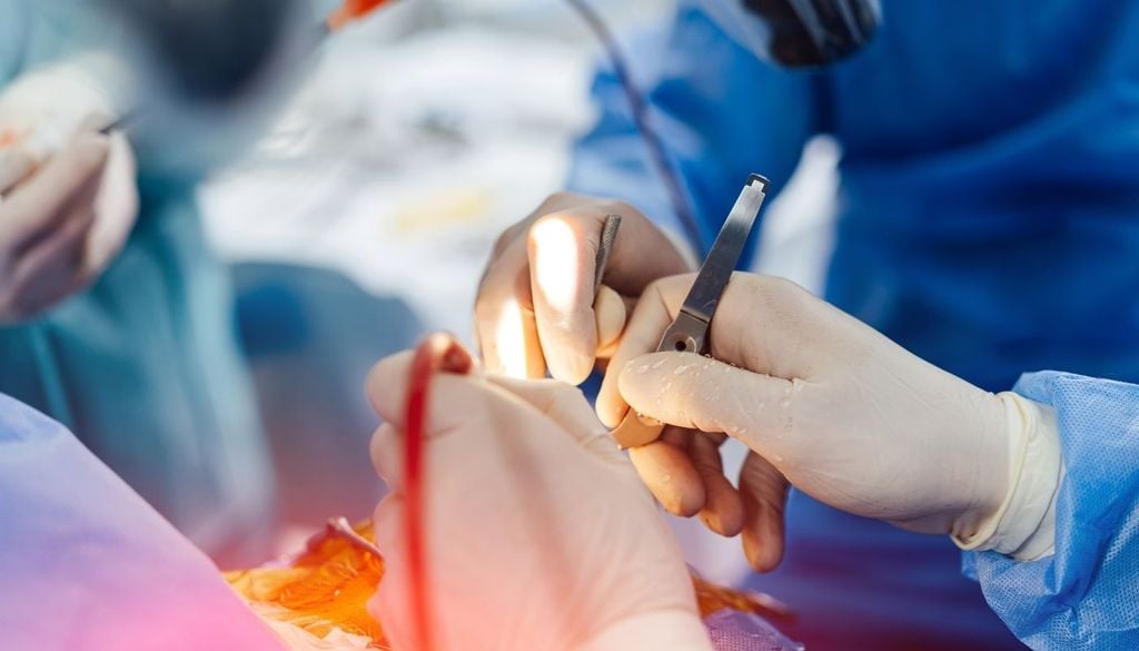 Una de esas aplicaciones médicas estaría relacionada con cirugías cerebrales complejas donde ciertas zonas del sistema nervioso necesitan permanecer funcionales pese al uso de frío controlado.