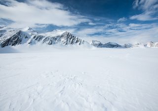 Una specie è sopravvissuta a molte ere glaciali in Antartide