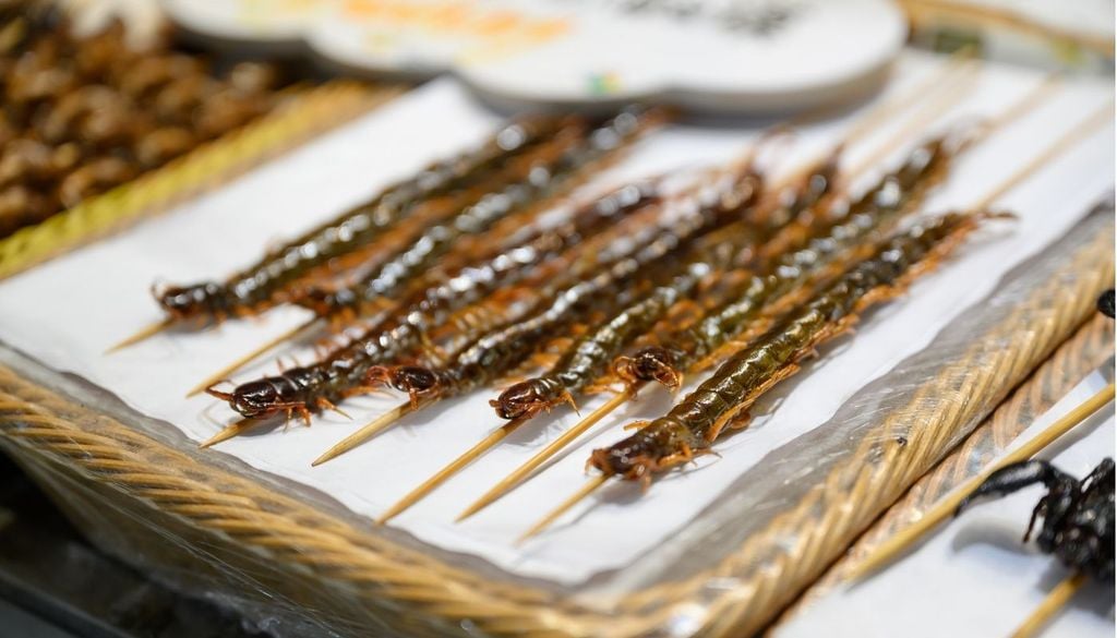 mangiare insetti Europa In molti paesi del mondo gli insetti sono un cibo così diffuso da essere la base del comune street food
