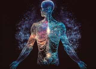 Insolite : découvrez quelles parties de notre corps nous sont aujourd'hui inutiles 