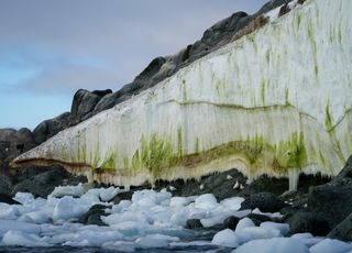  Insolite : et si des virus géants ralentissaient la fonte des glaces au Groenland ?