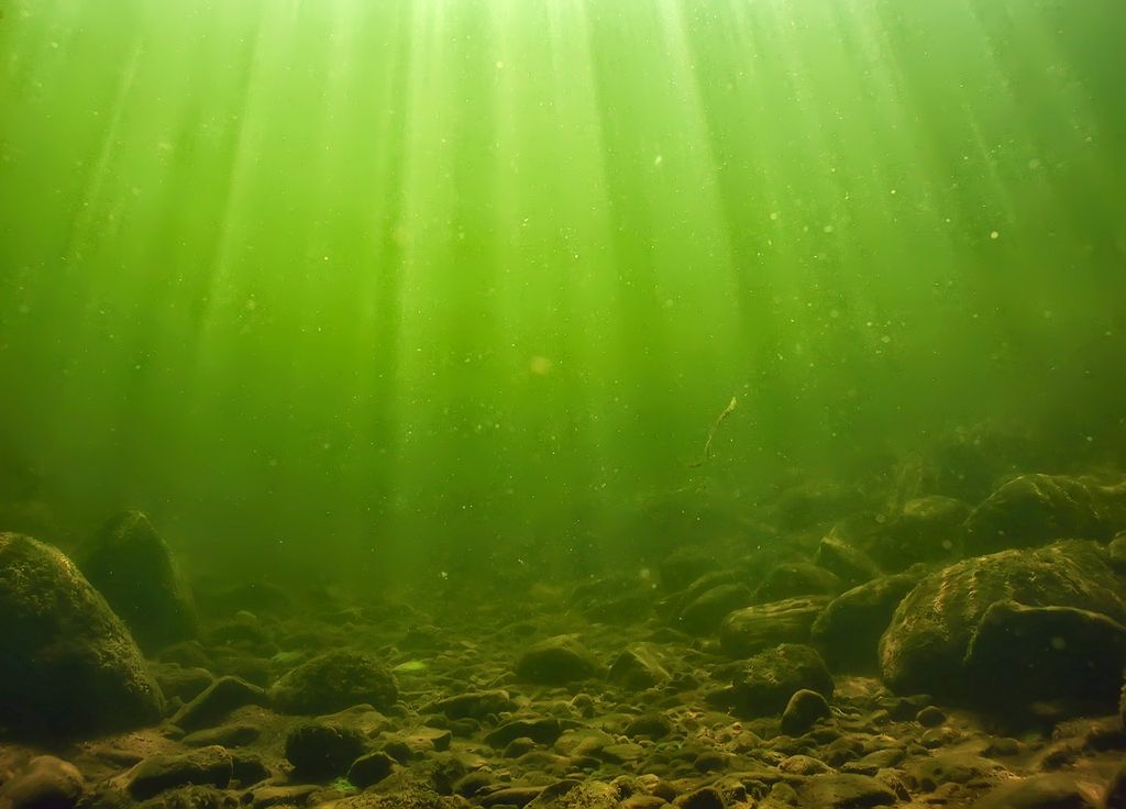 Océan vert Océan vert
