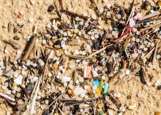 Insólito: ¿qué son estas "lágrimas de sirena" encontradas en las playas del este de Inglaterra? 