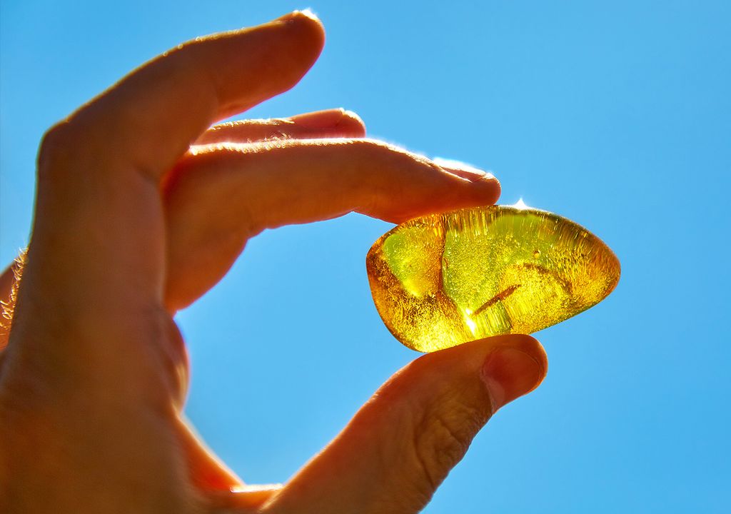 Ambar fosiles Ambar fosiles