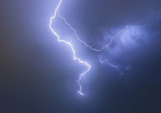 Insólito: un rayo impactó en un loro y desató un incendio en Puerto Madryn