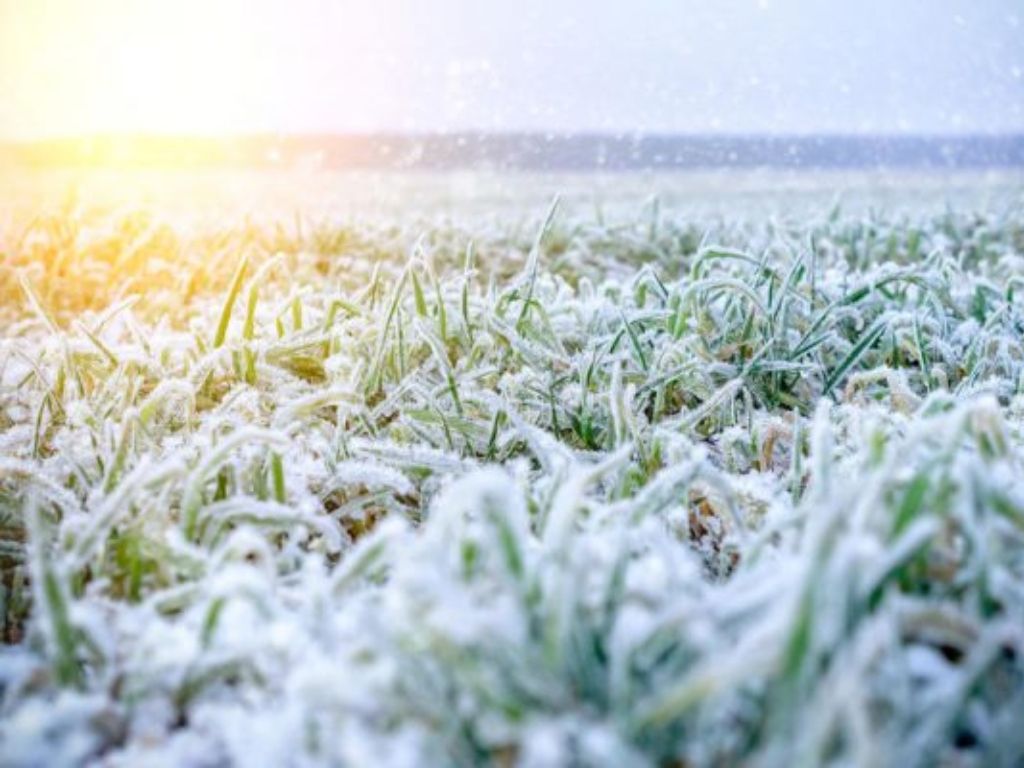 Ola polar aire polar frío heladas nieve Argentina