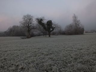 Intensa masa de aire frío llegará este fin de semana a México
