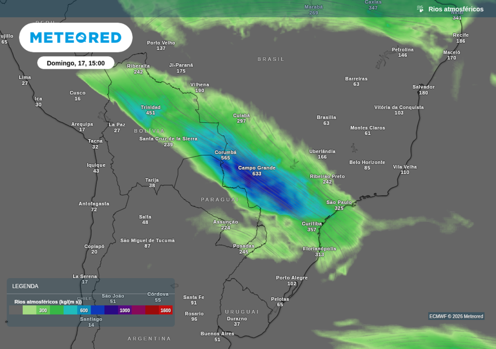 Previsão de rio atmosférico neste domingo (17), segundo o ECWMF.