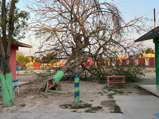 Tiempo severo azota a estados del Norte de México: ocasiona daños materiales significativos