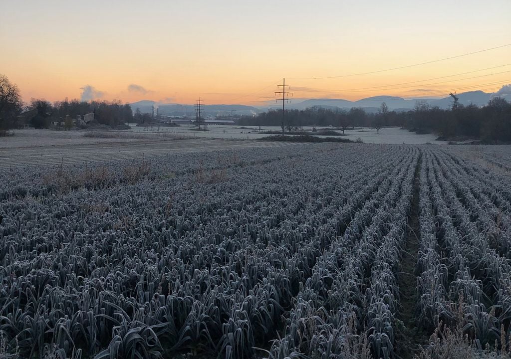 Heladas, Frio, Invierno, Ola de Frio, Ola Polar Heladas, Frio, Invierno, Ola de Frio, Ola Polar
