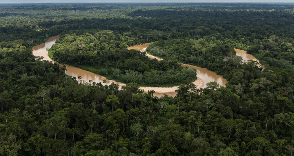 La riqueza de la selva amazónica depende en gran medida de los nutrientes que le llegan desde África por el polvo sahariano. Imagen de la NASA