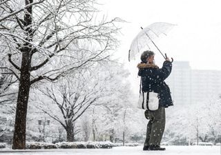 Fuerte nevada en Tokio